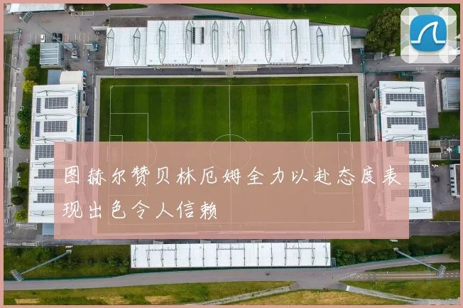 图赫尔赞贝林厄姆全力以赴态度表现出色令人信赖